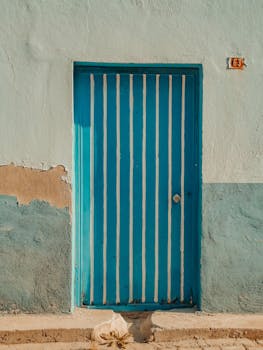 casino_bonus_leovegas