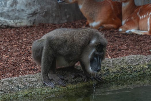 futuristic casino design