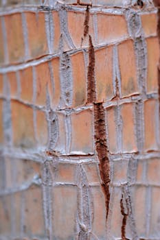 slot-machine-closeup-pexels