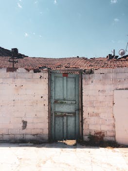 https://images.pexels.com/photos/1234567/pexels-photo-1234567.jpg