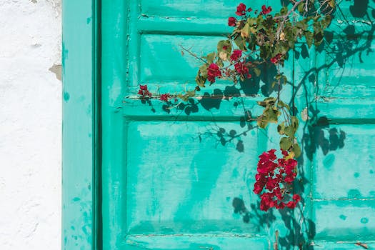 pexels-cash-transaction