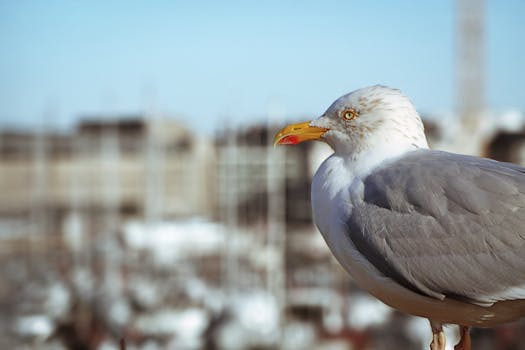 pexels-image-of-casino-game