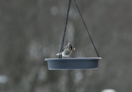 Ray Ruletti: Tieto Slots- Ja Kasinopeleistä Suomessa