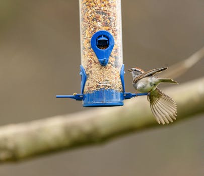 casino chips and clock