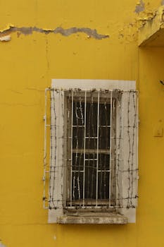 pexels-casino-gambling-4495603