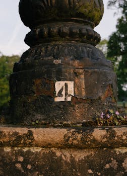 pexels-casino-spins-illustration