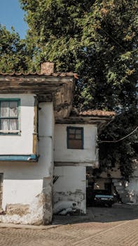 pexels-gambling-1370294