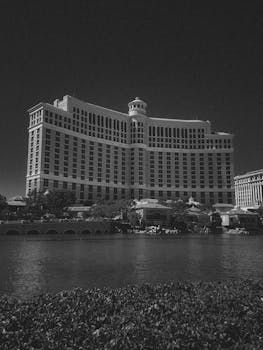 pexels-casino-player