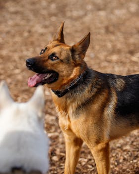 virtual-reality-casino