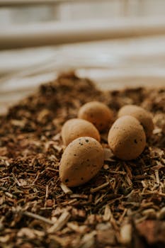 casino_interface_design