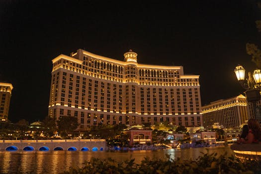 casino player searching