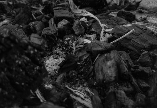 digital casino concept