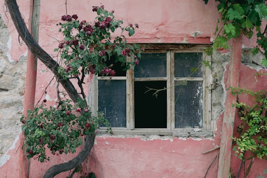 {financial-application}