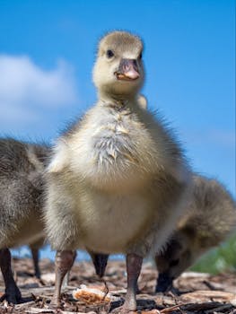 pexels-person-3992793