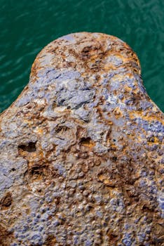 pexels-person-using-smartphone-6050407