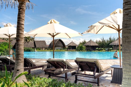 Kasinopeleihin Liittyvä Opas: For Kasino