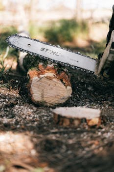 Korkolaskuri Talletus: Miten Laskea Korko Ja Kulut Sopivasti