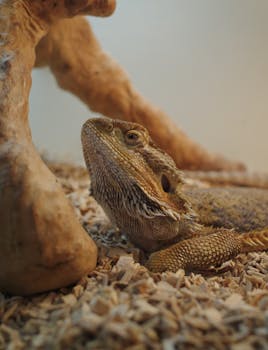 casino chips and poker table