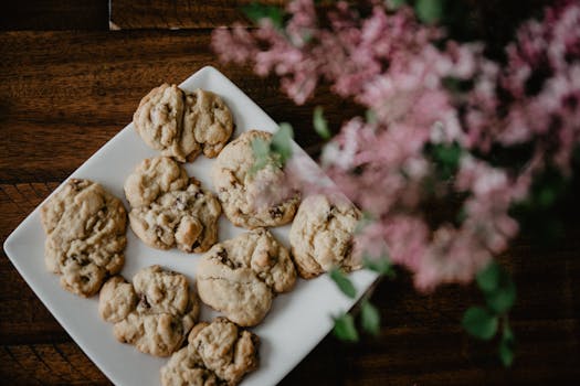 nettikolikkopelit_kasino_kuva