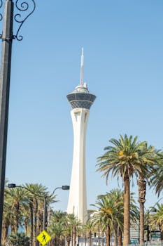 financial_advise_pexels