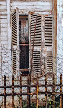 pexels-pixabay-261459