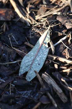 playing poker with chips