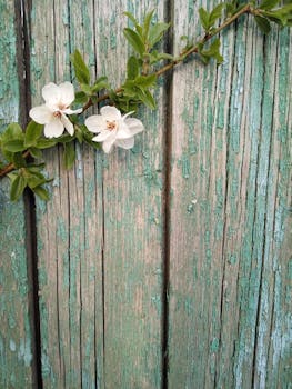Finnish casino game table
