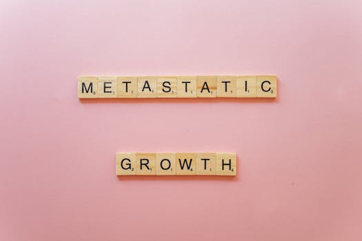 finland-casino-speed