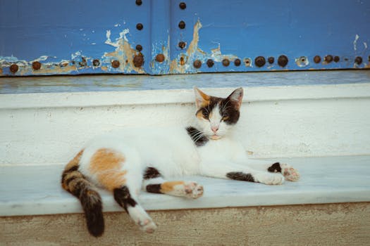 agreement review.jpg