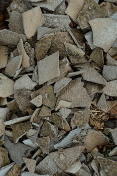 pexels-casino-spins-illustration