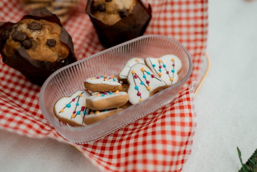 casino_full_experience