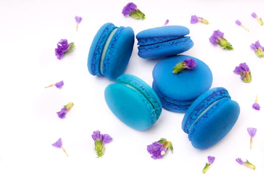 casino app interface