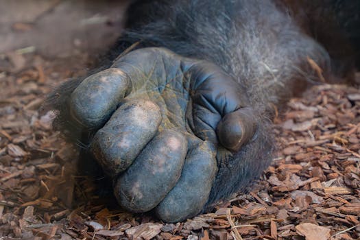 customer satisfaction