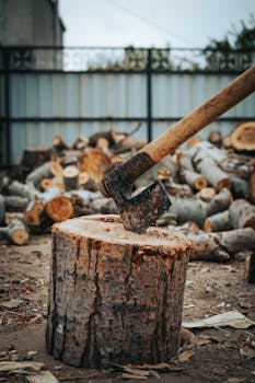 pexels_senior_person_working_5668462