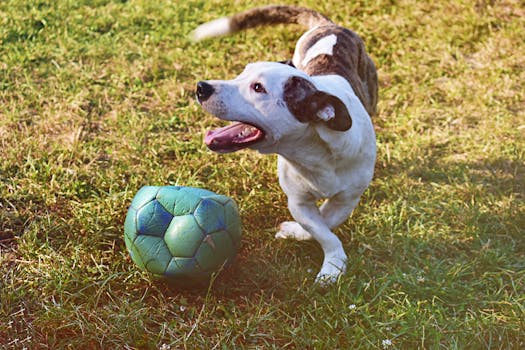 Mastercard Aktia -maksukorttiyhteensopivuudet Ja Käyttö Casino- Ja Igaming-ympäristöissä