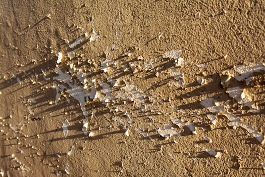 online-bank-transfer