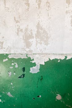 pexels-pixabay-267614